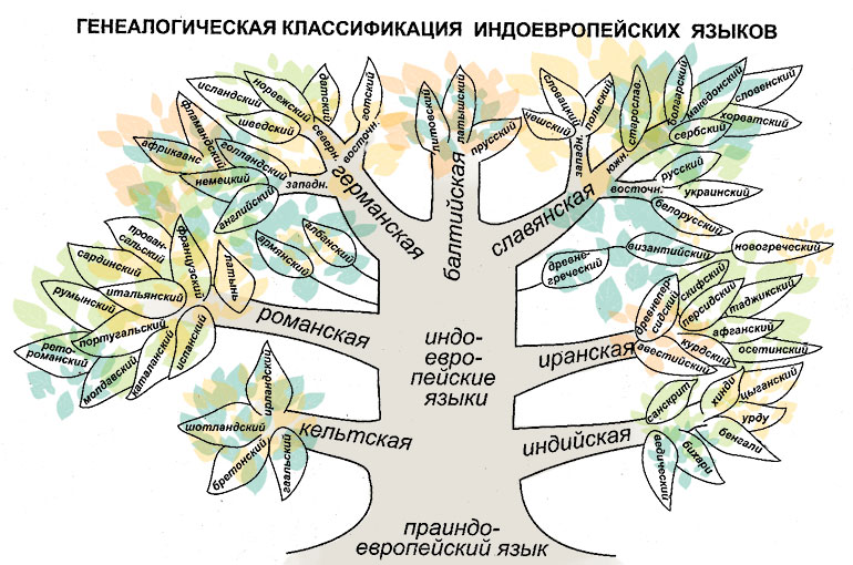 Какие группы языков относятся к индоевропейской семье