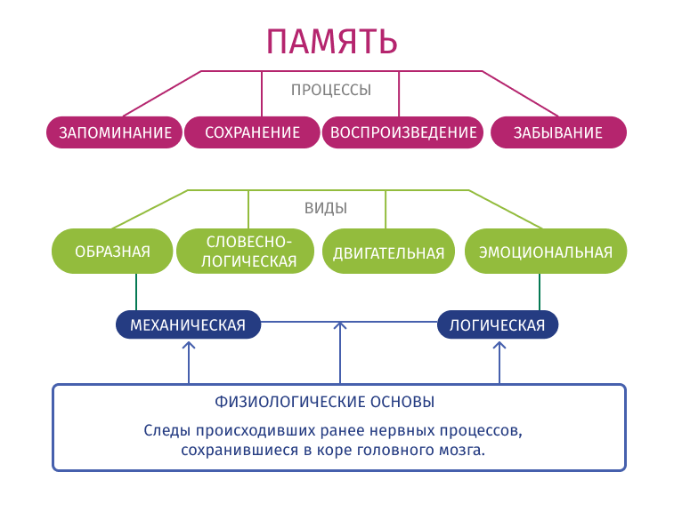 Вопросы направлены на запоминание. Способы эффективного запоминания. Схема запоминания. Приемы запоминания информации. Способы и приёмы запоминания английских слов.